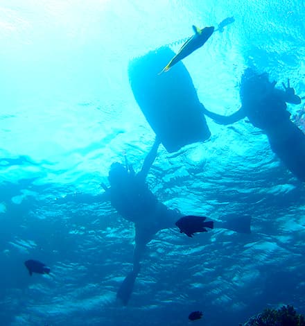 海の中から見上げる写真